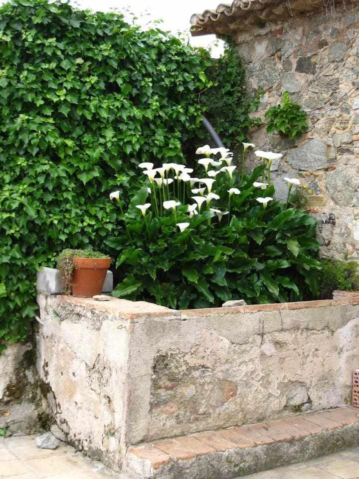 Ca Landreu Ecoturisme Villa Tiana Buitenkant foto